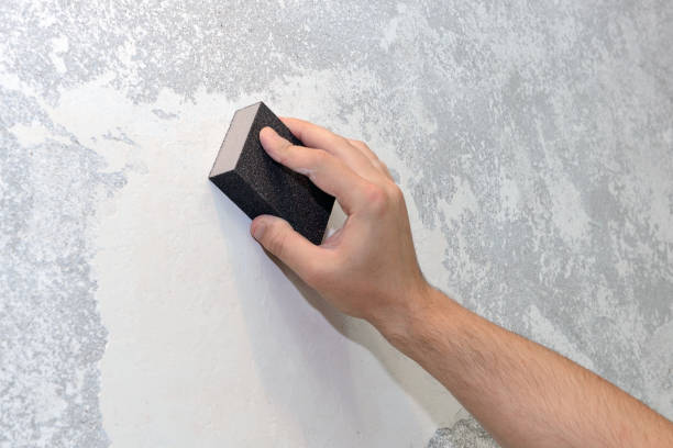 Best Mold Damage Restoration  in Byng, OK
