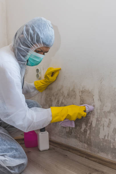 Best Airborne Mold Testing  in Byng, OK