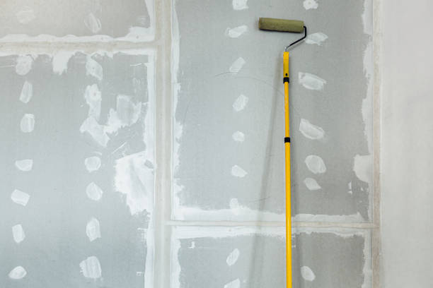 Mold Odor Removal Services in Byng, OK