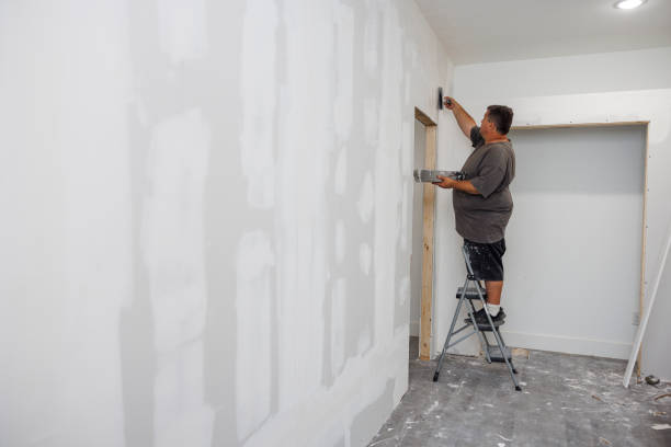 Reliable Byng, OK Mold Removal Solutions