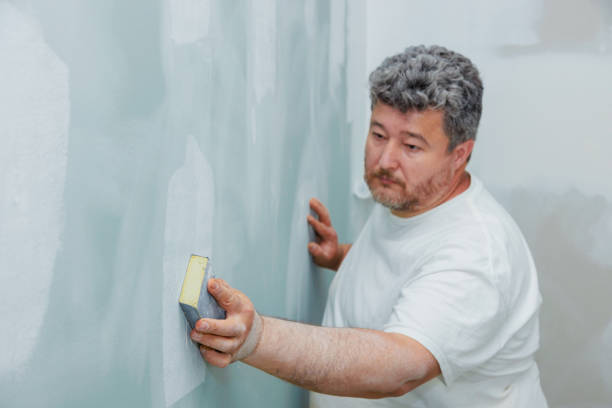 Best Basement Mold Removal  in Byng, OK