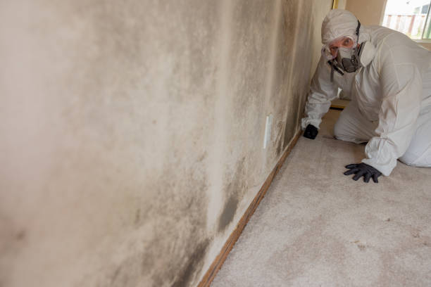 Best Real Estate Mold Inspection  in Byng, OK