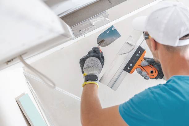 Best Industrial Mold Remediation  in Byng, OK